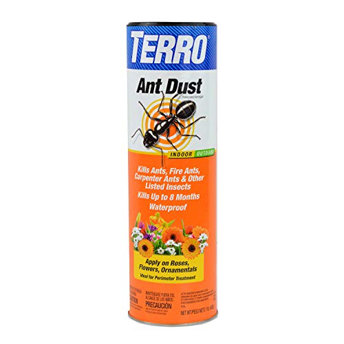 Best Insect Killers for Indoor And Perimeter Use