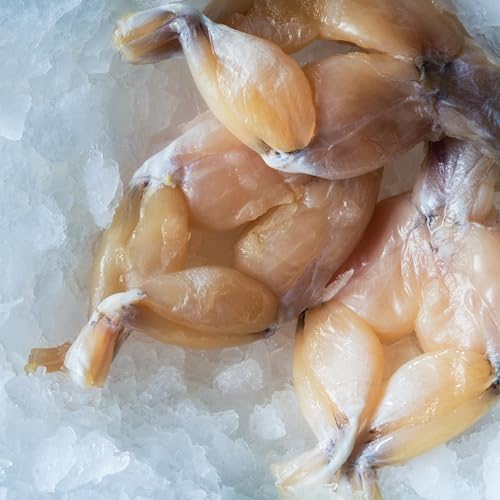 Best Insulated Grocery Bags for Frozen Foods