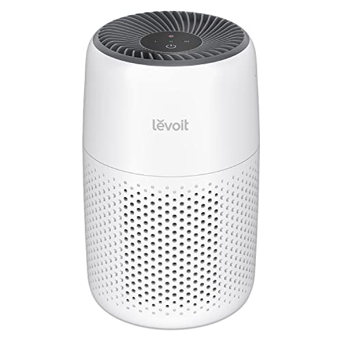 Best Small Air Purifiers for Family Bedrooms
