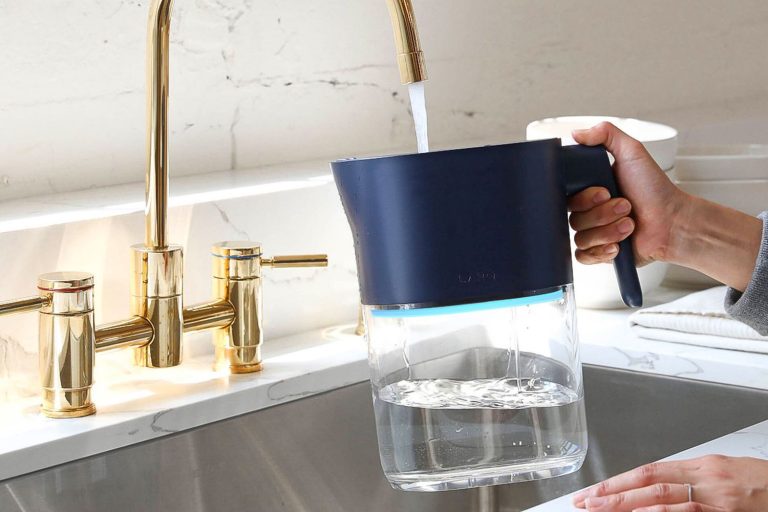 How to Keep Water Pitchers Mold-Free