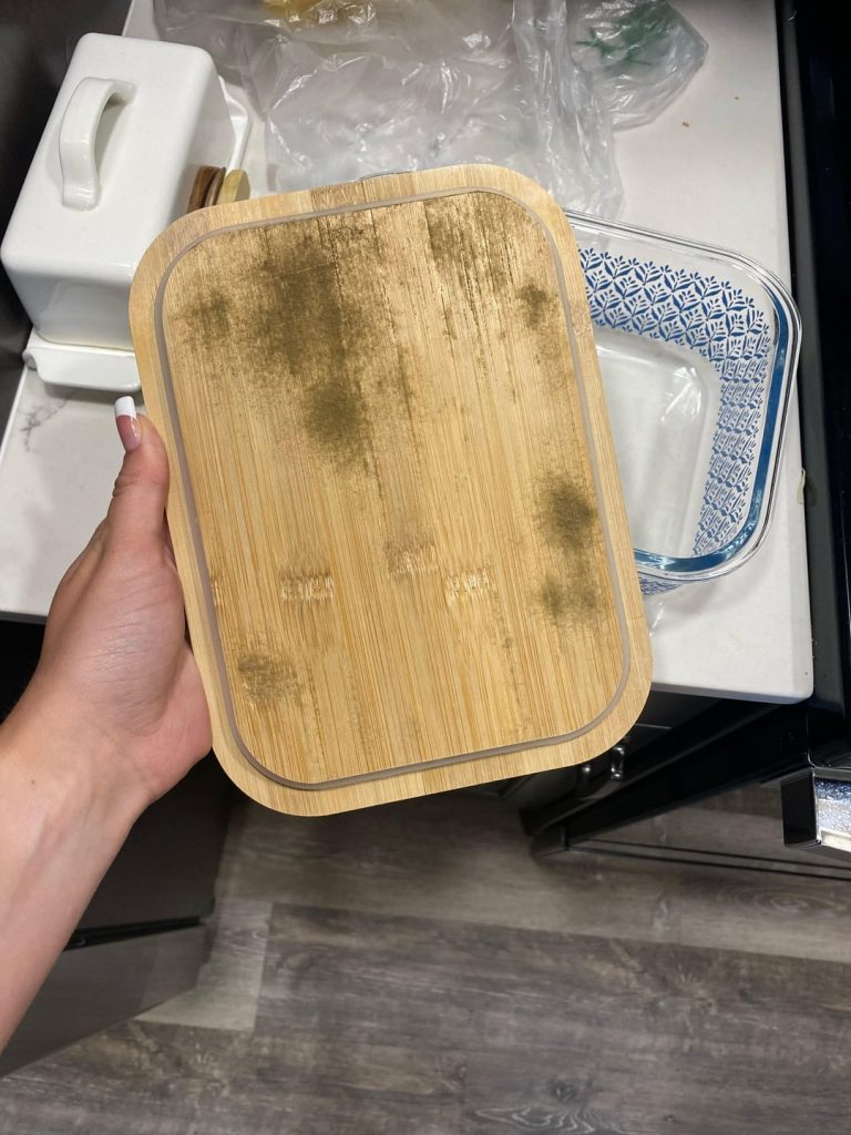 How to Prevent Mold in Food Storage Containers