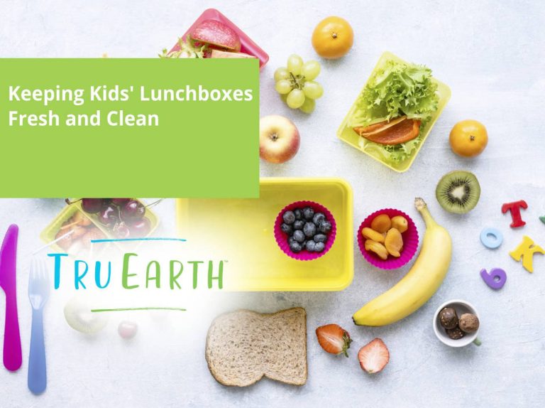 Tips for Keeping Kids’ Lunch Boxes Clean