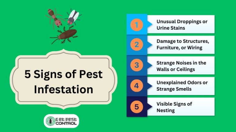 Top Signs You Have an Indoor Pest Problem